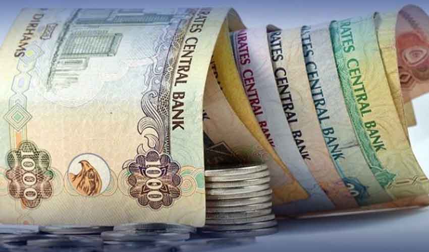 UAE Dirham witness modest rise against Pakistani Rupee