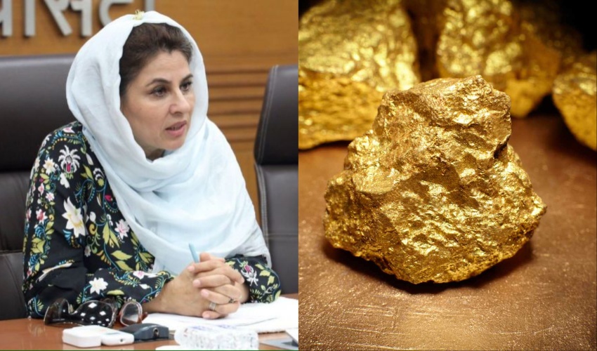 Afghanistan's top envoy in India quits over gold smuggling allegations