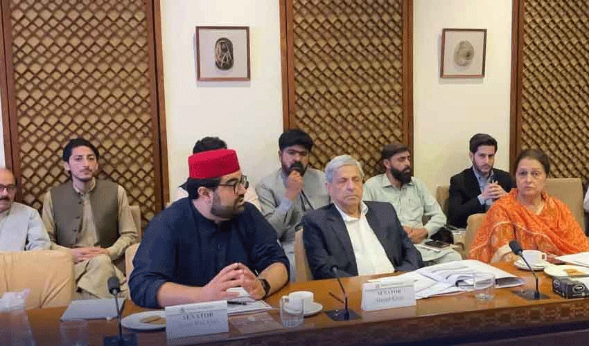 PTA chief calls row with senator a 'misunderstanding,' dismisses social media uproar