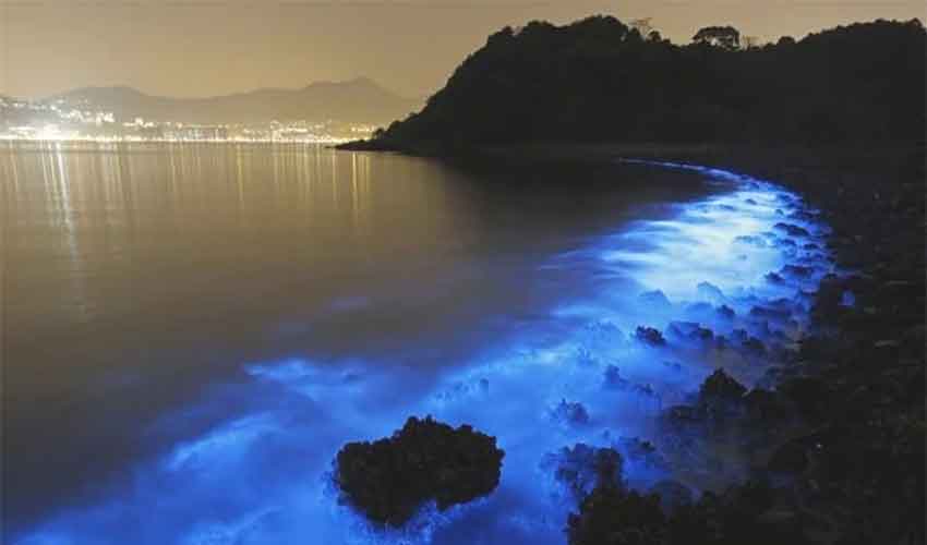 File photo File photo