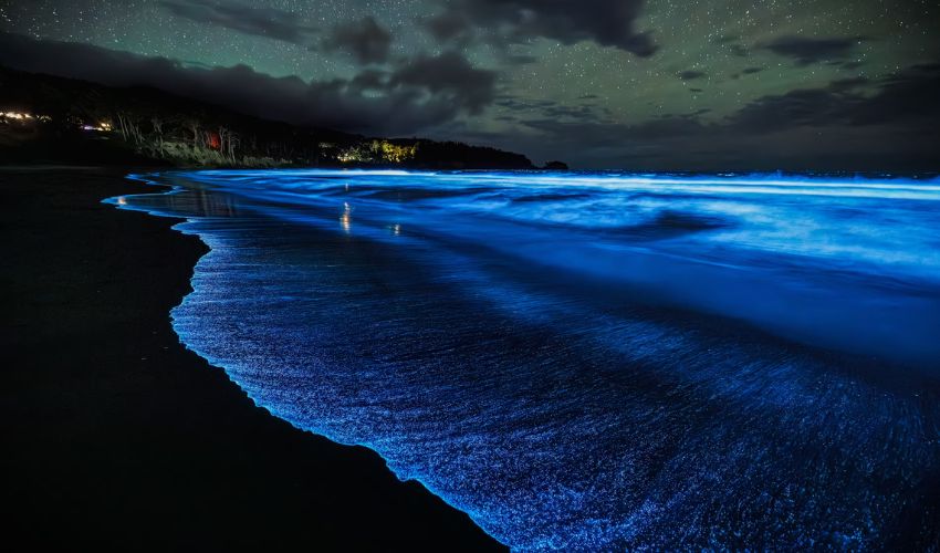 Spectacular bioluminescent bloom returns to Tasmania's coastline