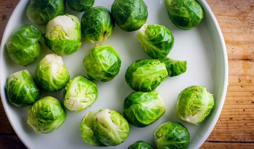 brussel sprouts brussel sprouts