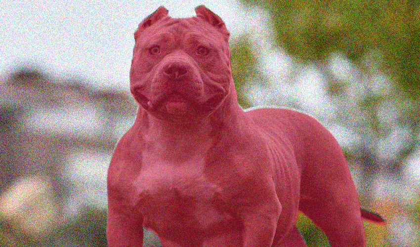 Two women hospitalized in UK after XL bully attack