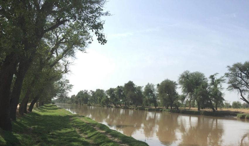 Punjab rejects Sindh govt’s concerns on Cholistan Canal Project