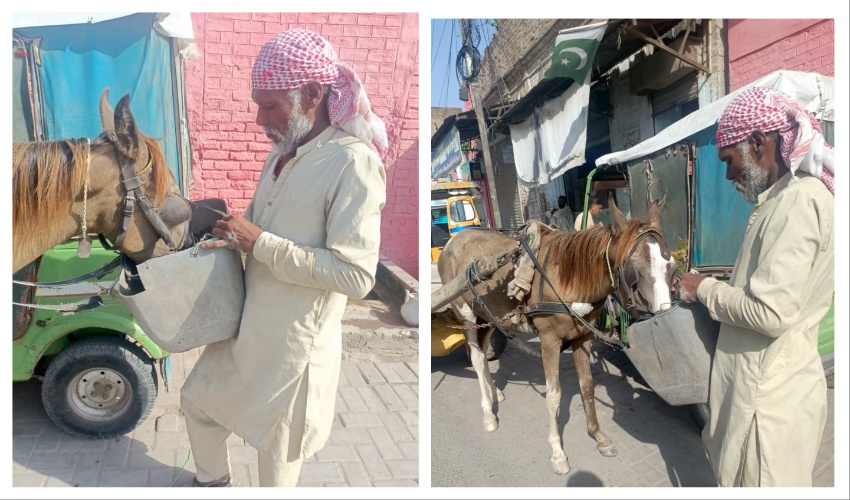 Climate Change pakistan
