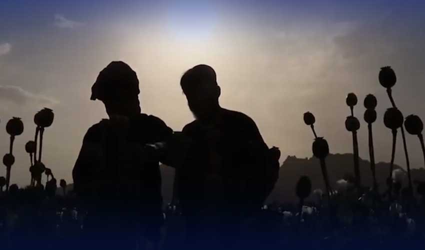 Afghan drug trafficking raises regional security concerns