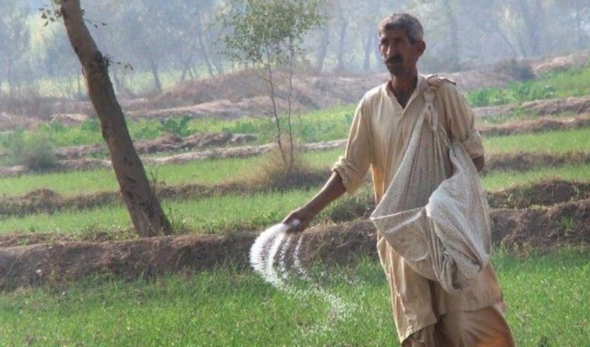 Industries Minister Rana Tanveer reject uptick in urea fertilizer prices