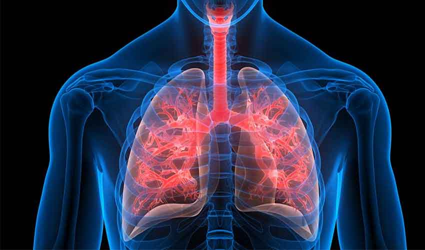 Scientists develop ‘lung on a chip’ to study respiratory infections