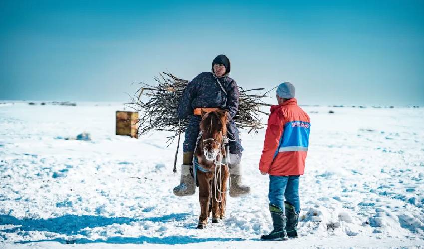 5 million animals dead in Mongolia’s harshest winter in 50 years