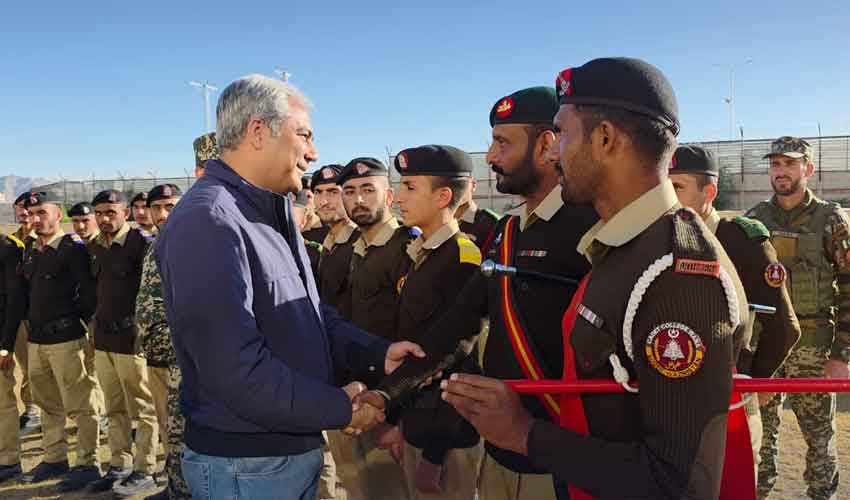 Terrorists are beasts; no religion allows targeting children: Naqvi