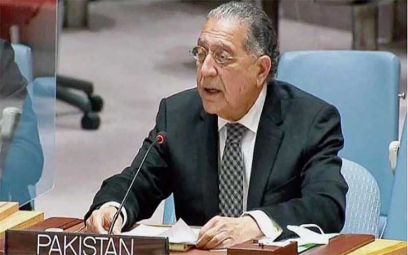 Pakistan raises issue of banned TTP and Majeed Brigade at UN Security Council