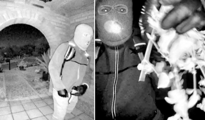 Suspect detained in Nancy Guthrie abduction in Arizona