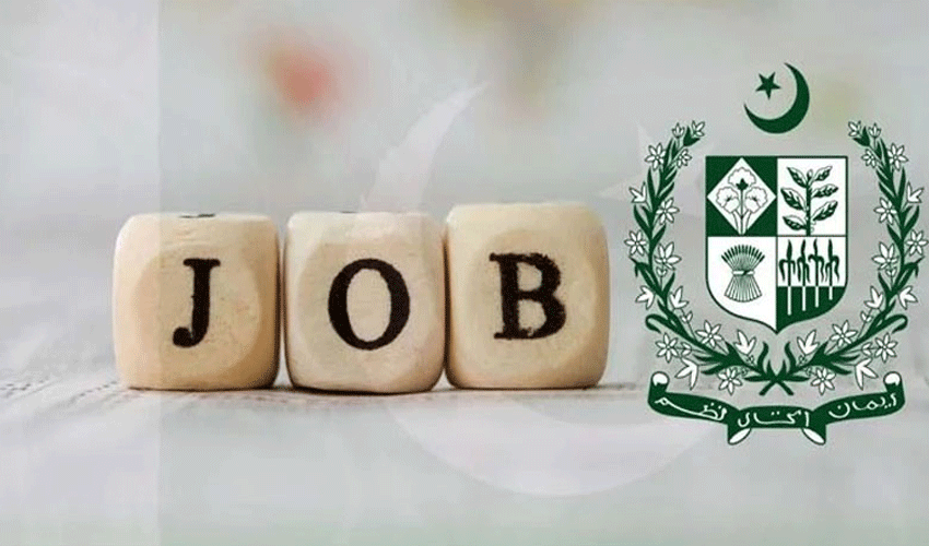 Good news: Pakistan to soon announce 95,000 jobs