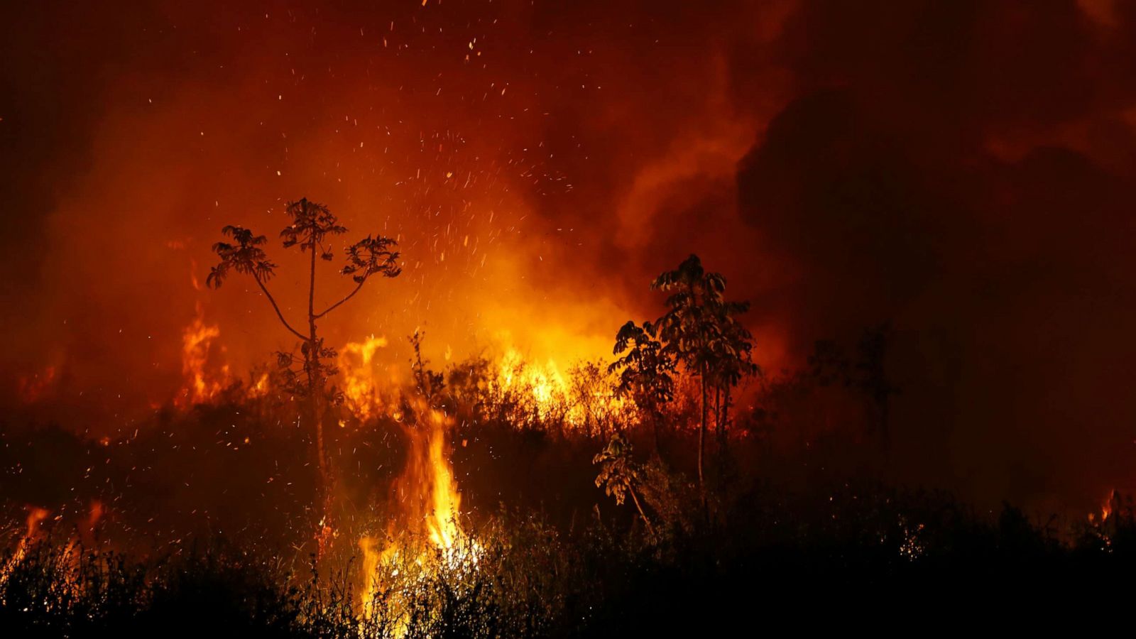 Brazil sent 1500 firefighters to control Amazon fire