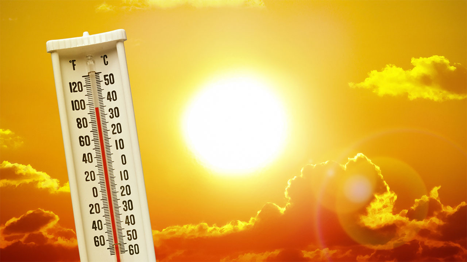 Study reveals summer 2023 was hottest year in last 2,000 years