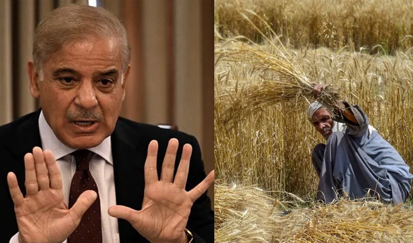 Wheat import scandal: PM sacks Pasco MD, GM procurement