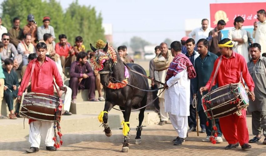 Punjab Culture Day celebrated with vibrant events across province