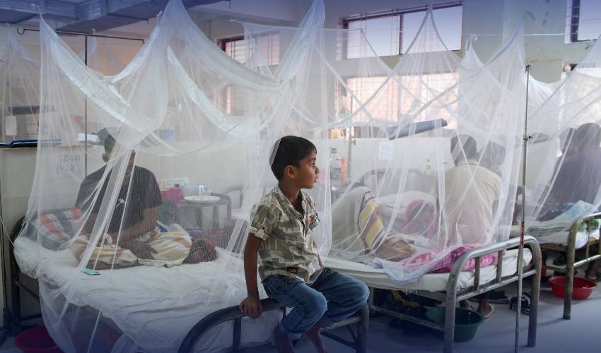 Dengue mosquito kills over 1,000 in Bangladesh in 2023