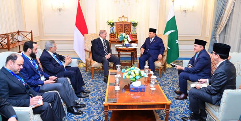 PM Shehbaz meets Indonesian president in Cairo, talks of strengthening ties