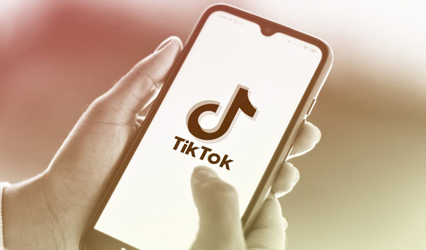 TikTok clampdown on false news and hate speech during elections 2024
