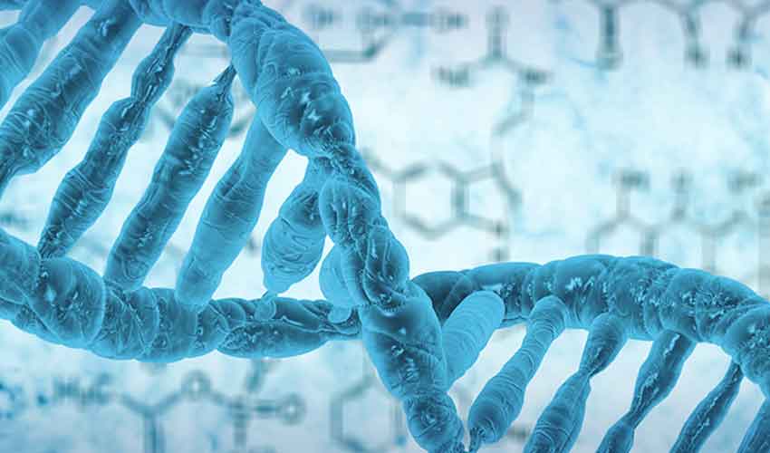 UAE makes genetic testing mandatory before marriage