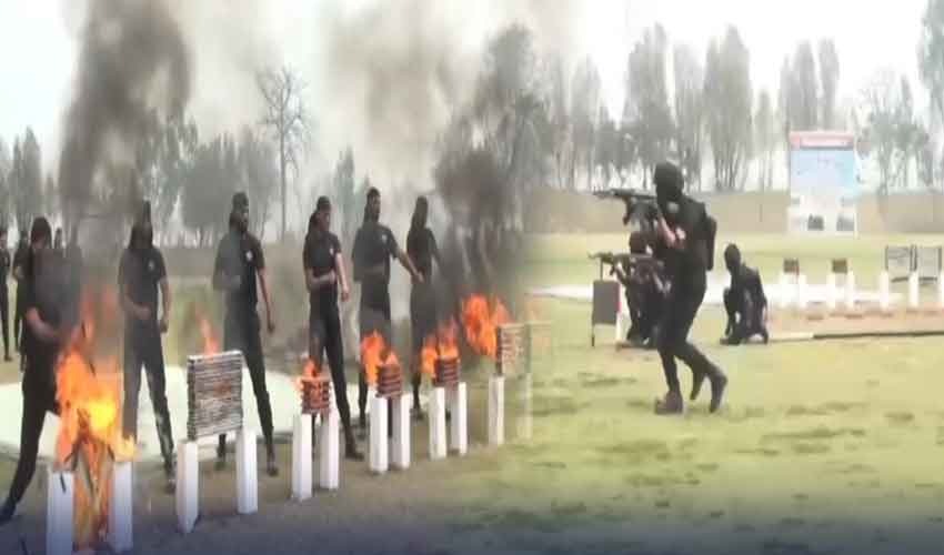 Punjab Rangers' Special Operations School advances counterterrorism efforts